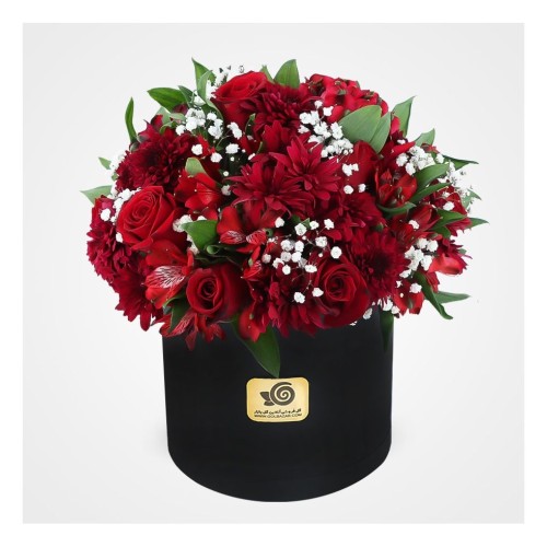 Red Color Box